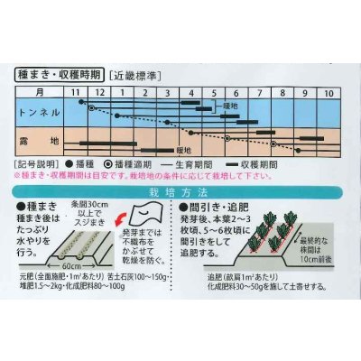 画像2: 送料無料　[人参]　黒田系五寸[人参]　Ｆ1紅赤五寸　3ml　（株）大和農園