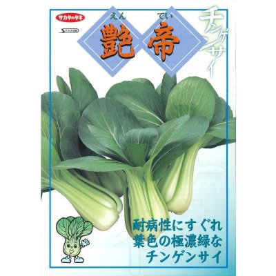 画像2: 送料無料　[中国野菜]　チンゲンサイ　艶帝　20ml　(株)サカタのタネ