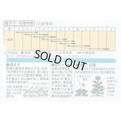 画像2: 送料無料　[葉物]　新芯菜　5ml(およそ900粒)　(株)大和農園