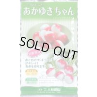 送料無料　[大根]　はつかだいこん　あかゆきちゃん　5ml　大和農園