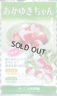 送料無料　[大根]　はつかだいこん　あかゆきちゃん　20ml(およそ1,100粒)　大和農園