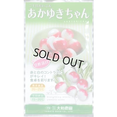 画像1: 送料無料　[大根]　はつかだいこん　あかゆきちゃん　20ml(およそ1,100粒)　大和農園