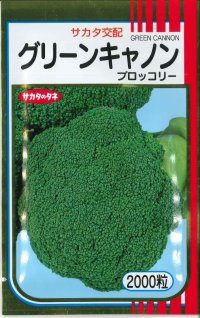 送料無料　[ブロッコリー]　グリーンキャノン　2000粒　(株)サカタのタネ