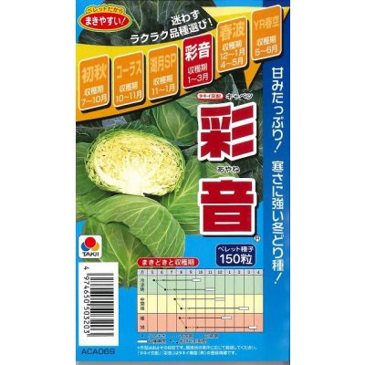 画像1: 送料無料　[キャベツ]　彩音　150粒　ペレット種子　タキイ種苗(株)