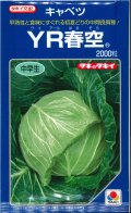 送料無料　[キャベツ]　YR春空　2000粒　貴種(コートしてません)　タキイ種苗(株)