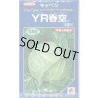 送料無料 [キャベツ] YR春空 2000粒 貴種(コートしてません) タキイ種苗(株)