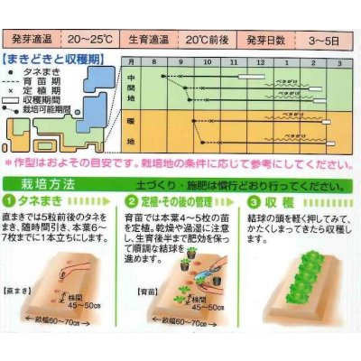 画像2: 送料無料　[白菜]　ほまれの極み　0.8ml　タキイ種苗(株)　DF