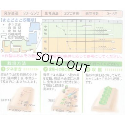 画像2: [白菜]　ほまれの極み　0.8ｍｌ　　タキイ種苗（株）　DF