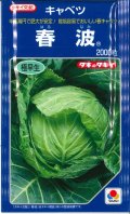 送料無料　[キャベツ]　春波　2000粒(コートしてません)　タキイ種苗(株)