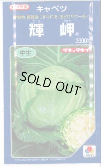 [キャベツ]　輝岬　2000粒　タキイ種苗（株）