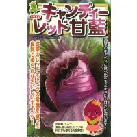 送料無料　[キャベツ]　キャンディーレッド甘藍　1ml　(約200粒)　小林種苗(株)