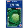 送料無料　[キャベツ]　北ひかり　2000粒　タキイ種苗(株)