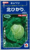 送料無料　[キャベツ]　北ひかり　2000粒　タキイ種苗(株)