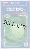 送料無料　[キャベツ]　北ひかり　2000粒　タキイ種苗(株)