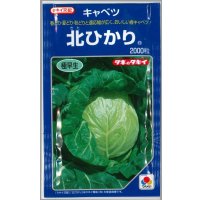 送料無料　[キャベツ]　北ひかり　2000粒　タキイ種苗(株)