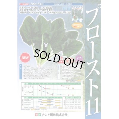 画像2: 野菜種　ほうれんそう　プロースト11　プライミング　　Mサイズ　3万粒　　ナント種苗（株）