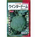 送料無料　[ブロッコリー]　ウインタードーム　2000粒　(株)サカタのタネ