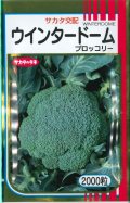 送料無料　[ブロッコリー]　ウインタードーム　2000粒　(株)サカタのタネ