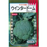 送料無料　[ブロッコリー]　ウインタードーム　2000粒　(株)サカタのタネ