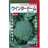送料無料　[ブロッコリー]　ウインタードーム　2000粒　(株)サカタのタネ
