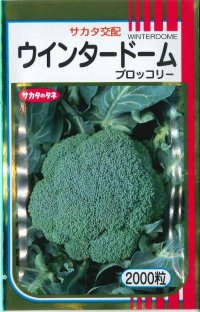 送料無料　[ブロッコリー]　ウインタードーム　2000粒　(株)サカタのタネ