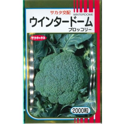 画像1: 送料無料　[ブロッコリー]　ウインタードーム　2000粒　(株)サカタのタネ