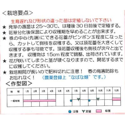 画像2: [葉物]　アレッタ２　　1ｍｌ　裸種子（およそ150粒）松永種苗（株）