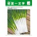 画像2: 送料無料　[ねぎ]　初夏一文字　1dl　タキイ種苗 (2)
