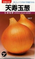 送料無料　[たまねぎ]　天寿玉葱　4ml（約640粒）　(株)タカヤマシード