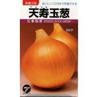 送料無料　[たまねぎ]　天寿玉葱　4ml（約640粒）　(株)タカヤマシード