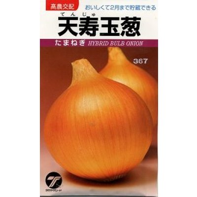 画像1: 送料無料　[たまねぎ]　天寿玉葱　20ml　(株)タカヤマシード