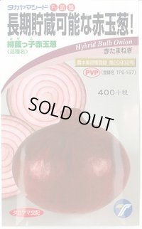 [たまねぎ]　緋蔵っ子赤玉葱　3ml　（株）タカヤマシード