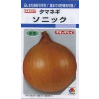 送料無料　[たまねぎ]　ソニック　4.5ml(約420粒)　タキイ種苗(株)　DF