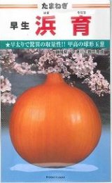 送料無料　[たまねぎ]　浜育　小袋　2.8ml　カネコ種苗（株）