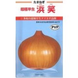 送料無料　[たまねぎ]　超極早生　浜笑（PVP）　20ml　カネコ種苗（株）