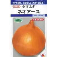 送料無料　[たまねぎ]　ネオアース　4.5ml(約620粒)　タキイ種苗(株)　DF