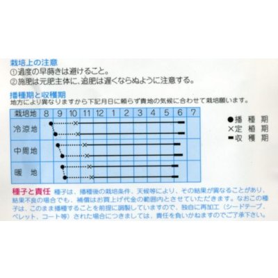 画像2: 送料無料　[たまねぎ]　天寿玉葱　2dl　(株)タカヤマシード