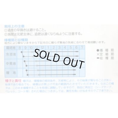 画像2: [たまねぎ]　天寿玉葱　4ｍｌ　（株）タカヤマシード