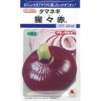 送料無料　[たまねぎ]　猩々赤　5.5ml(約640粒)　タキイ種苗(株)　DF