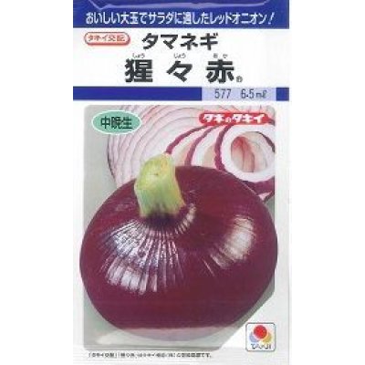 画像1: 送料無料　[たまねぎ]　猩々赤　5.5ml(約640粒)　タキイ種苗(株)　DF