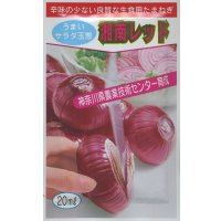送料無料　[たまねぎ]　湘南レッド　6ml　(株)サカタのタネ