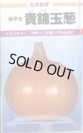 送料無料　[たまねぎ]　貴錦　20ml　カネコ種苗