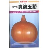 送料無料　[たまねぎ]　貴錦　20ml　カネコ種苗（株）