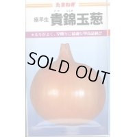 [たまねぎ]　貴錦　20ml　カネコ種苗