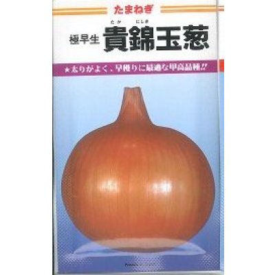 画像1: 送料無料　[たまねぎ]　貴錦　20ml　カネコ種苗（株）