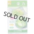 送料無料　[キャベツ]　金力甘藍　1ml　(株)大和農園