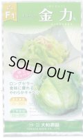 送料無料　[キャベツ]　金力甘藍　1ml　(株)大和農園