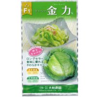 送料無料　[キャベツ]　金力甘藍　1ml　（株）大和農園
