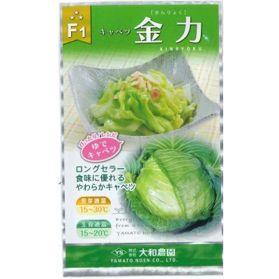 画像1: 送料無料　[キャベツ]　金力甘藍　1ml　（株）大和農園