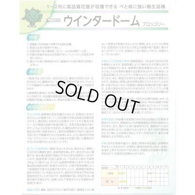 画像5: 送料無料　[ブロッコリー]　ウインタードーム　コート5000粒　(株)サカタのタネ